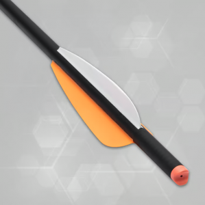 Avalanche Crossbow Carbon Arrows 6-Pack