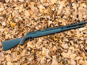 JTS AirStryke PCP Air Rifle – .22 Cal Pellet Gun